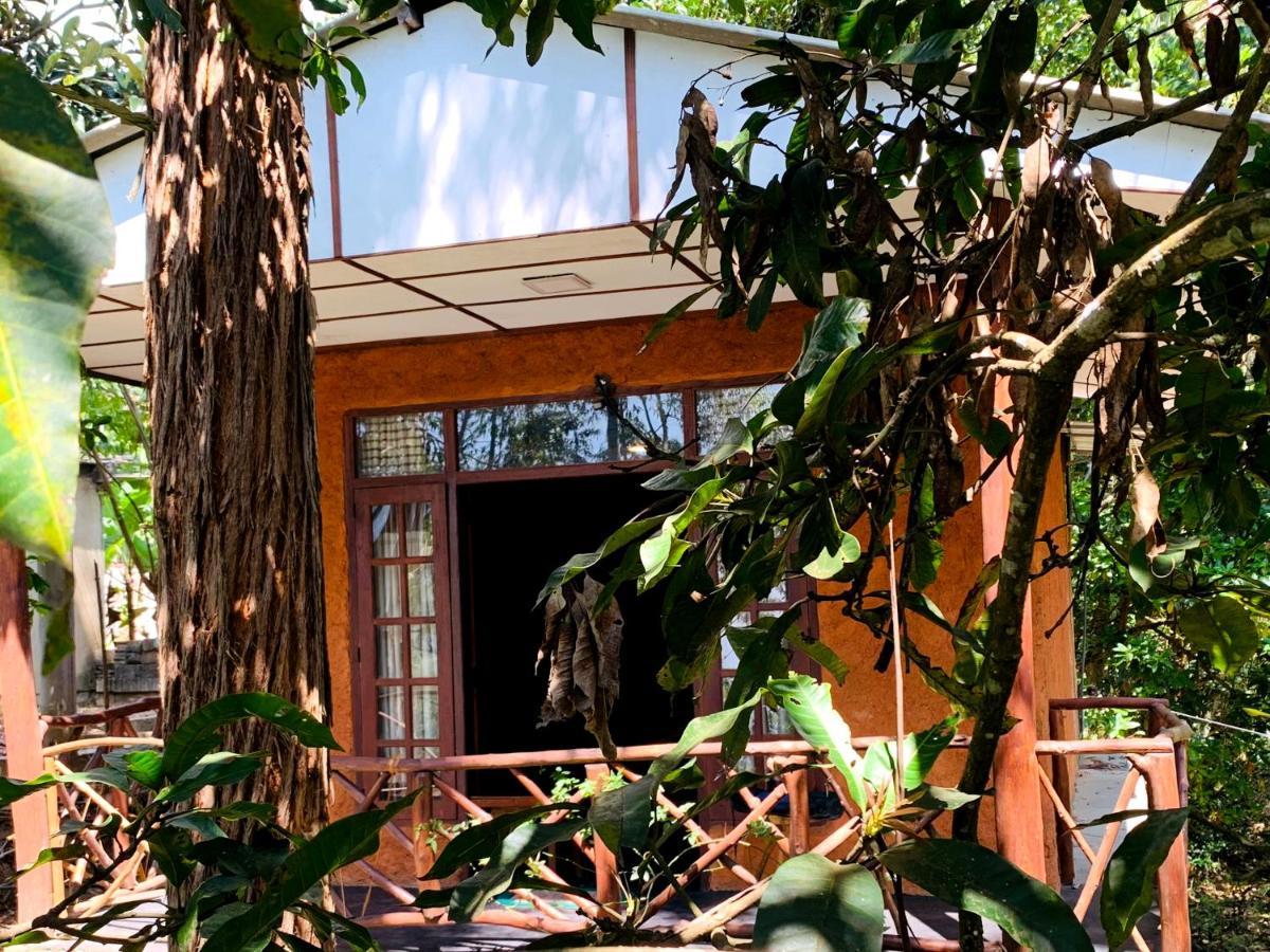 The Nirwana Cottage エッラ エクステリア 写真