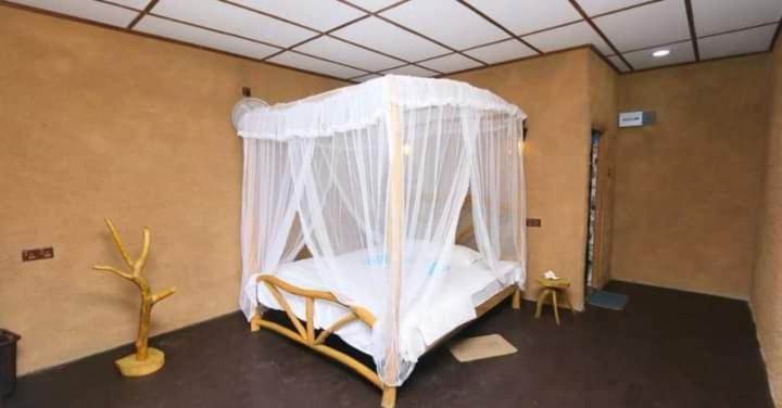 The Nirwana Cottage エッラ エクステリア 写真